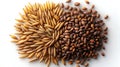 Cumin seeds in various shades, showcasing their unique textures and colors, create visually appealing spread. contrast between