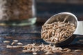 Cumin Seeds Spilled from a Teaspoon Royalty Free Stock Photo