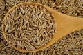 Cumin seeds