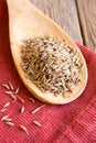 Cumin seeds (zira) Royalty Free Stock Photo