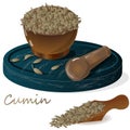 Cumin Zira seeds seasoning for meals and soups on a white background vector illustration