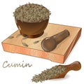 Cumin Zira seeds seasoning for meals and soups on a white background vector illustration