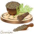 Cumin Zira seeds seasoning for meals and soups on a white background vector illustration