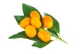 Cumquat or kumquat on green leaves isolated on white background Royalty Free Stock Photo