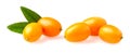 Cumquat or kumquat with leaf isolated on white background close Royalty Free Stock Photo