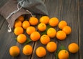 Cumquats, kinkans or fortunella orange fruits Royalty Free Stock Photo