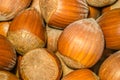 Cumulated Hazelnuts Royalty Free Stock Photo