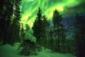 Cumulative time lapse forest, starry sky with star trails and green northern lights in Finnish lapland