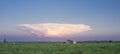 Cumulonimbus capillatus cloud over tomato field Royalty Free Stock Photo