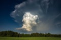 Cumulonimbus capillatus incus cloud, isolated storm cloud Royalty Free Stock Photo