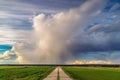 A cumulonimbus storm cloud over the fields and convective rainfall. Royalty Free Stock Photo