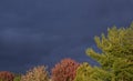 Storm clouds over fall season trees