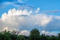 Cumulous over Tree Line Royalty Free Stock Photo