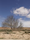 A cloud mirrors the shape of its crone Royalty Free Stock Photo