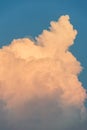 Cumulus congestus cloud on a blue sky. Royalty Free Stock Photo