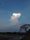 The Cumulus Mediocris Cloud and The Moon