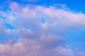 Cumulus pink clouds on sunset sky background, copy space for text Royalty Free Stock Photo