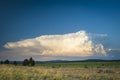 Cumulus storm cloud above desert landscapde