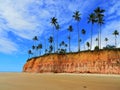 Cumuruxatiba, Bahia, Brazil: Beach`s cliffs, blue sky and coconut`s trees.