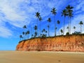 Cumuruxatiba, Bahia, Brazil: View of coconuts tree plantation Royalty Free Stock Photo