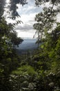Cundinamarca colombia valley viewed across rain forest foliage