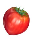 Cuor di bue, oxheart tomato, top, paths Royalty Free Stock Photo