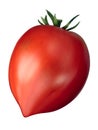 Cuore di bue oxheart tomato, paths Royalty Free Stock Photo