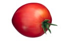 Cuore di bue oxheart tomato, paths Royalty Free Stock Photo