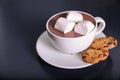 Cup of aromatic cacao with marshmallows and cookies on dark table.