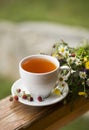 Cup of aromatic tea Royalty Free Stock Photo