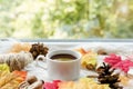 Cup of autumn coffee or chocolate, pine cones and yellow dry leaves near a window, copy space