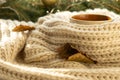 Cup of autumn coffee, tea or hot chocolate, fall leave on a warm scarf. Drink for autumn cold rainy days. Seasonal