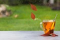 A Cup of autumn tea with leaves near the window, copy space. Hot drink for autumn cold rainy days. hygge, autumn mood Royalty Free Stock Photo