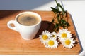 A cup of black coffee branch of white daisy flowers on wooden background in morning bright sunligh with shadow