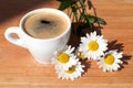 A cup of black coffee branch of white daisy flowers on wooden background in morning bright sunligh with shadow