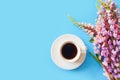 Cup Of Black Coffee Or Hot Chocolate And Pink Lupine Flowers On A Blue Background. Aroma And Good Morning Concept. Top View