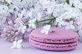 Cup of black coffee, lilac flowers and sweet pastel french macaroon