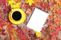 Cup with black coffee, pen, notepad, wooden table with autumn fallen orange leaves Flat lay Top view Mock Royalty Free Stock Photo