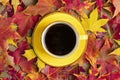 Cup with black coffee on wooden table with autumn fallen yellow, orange and red leaves Royalty Free Stock Photo