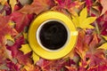 Cup with black coffee on wooden table with autumn fallen yellow, orange and red leaves Royalty Free Stock Photo