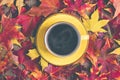 Cup with black coffee on wooden table with autumn fallen yellow, orange and red leaves Royalty Free Stock Photo