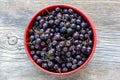 Cup with black hawthorn berries on gray wooden background close up top view.