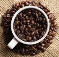 A cup of black roasted arabica coffee beans Royalty Free Stock Photo