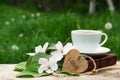 A cup of black tea, a book and a branch of a blossoming apple tree. Apple blossom,heart and fragrant tea. Royalty Free Stock Photo