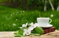 A cup of black tea, a book and a branch of a blossoming apple tree. Royalty Free Stock Photo