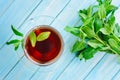 Cup of black tea with fresh mint Royalty Free Stock Photo