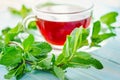 Cup of black tea with fresh mint Royalty Free Stock Photo