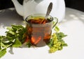 cup black tea green leaf berry white kettle table sunlight close-up Royalty Free Stock Photo