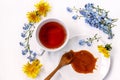 Cup of black tea with honey and flowers forget-me-nots and dandelions on a white background