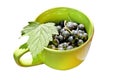 Cup with blackcurrant berries and a green leaf, isolate on a white background Royalty Free Stock Photo